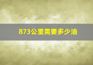 873公里需要多少油