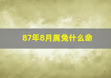 87年8月属兔什么命