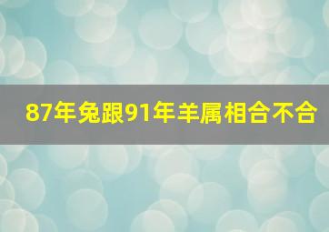 87年兔跟91年羊属相合不合