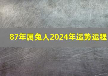 87年属兔人2024年运势运程