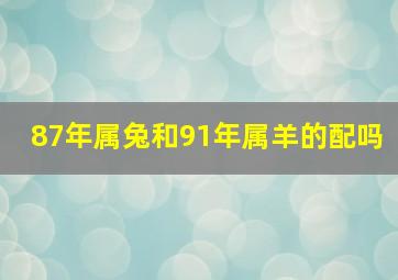 87年属兔和91年属羊的配吗