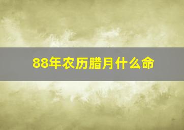 88年农历腊月什么命