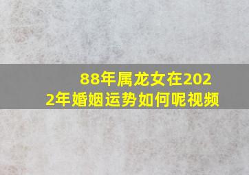 88年属龙女在2022年婚姻运势如何呢视频