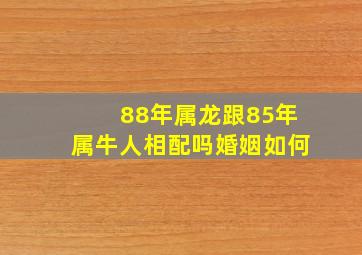 88年属龙跟85年属牛人相配吗婚姻如何