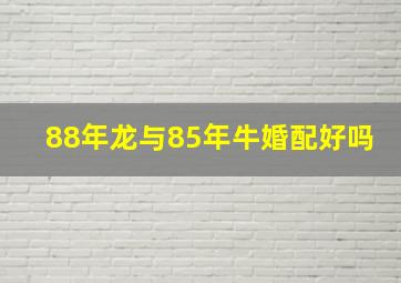 88年龙与85年牛婚配好吗