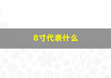 8寸代表什么