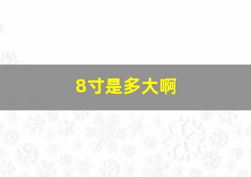 8寸是多大啊