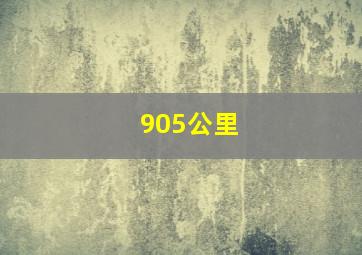 905公里