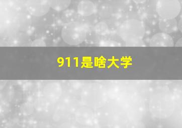 911是啥大学