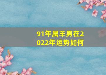 91年属羊男在2022年运势如何