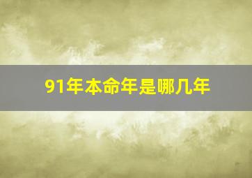 91年本命年是哪几年