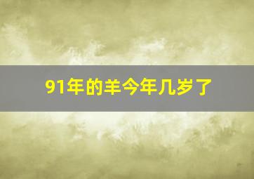 91年的羊今年几岁了