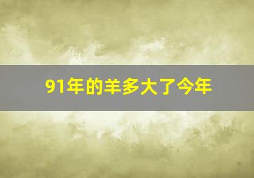 91年的羊多大了今年