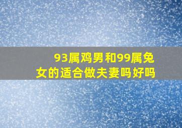 93属鸡男和99属兔女的适合做夫妻吗好吗