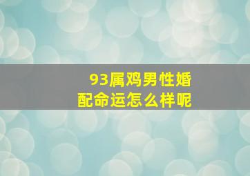 93属鸡男性婚配命运怎么样呢