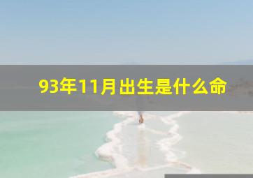 93年11月出生是什么命