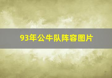 93年公牛队阵容图片