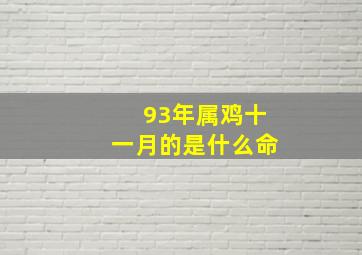 93年属鸡十一月的是什么命