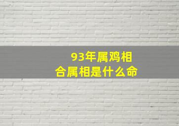 93年属鸡相合属相是什么命