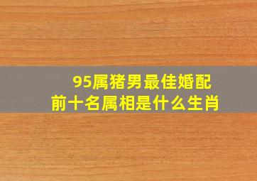 95属猪男最佳婚配前十名属相是什么生肖