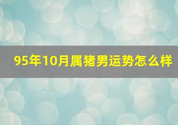 95年10月属猪男运势怎么样