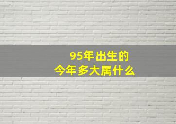 95年出生的今年多大属什么