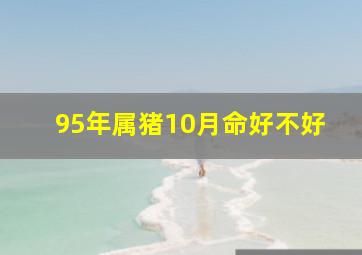 95年属猪10月命好不好