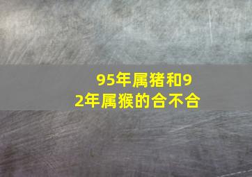 95年属猪和92年属猴的合不合