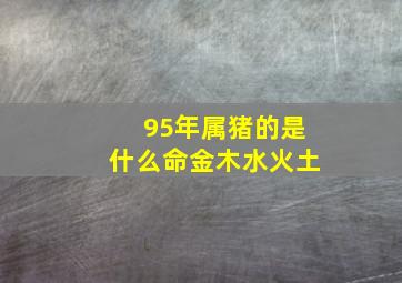 95年属猪的是什么命金木水火土