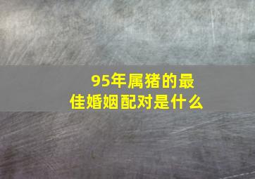 95年属猪的最佳婚姻配对是什么