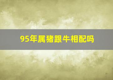 95年属猪跟牛相配吗