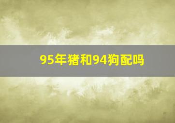 95年猪和94狗配吗