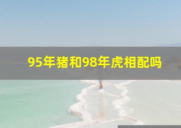 95年猪和98年虎相配吗