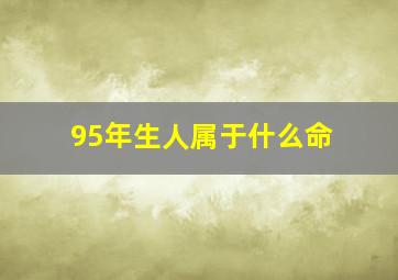 95年生人属于什么命