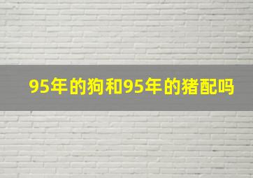 95年的狗和95年的猪配吗