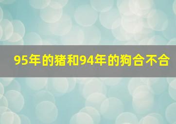 95年的猪和94年的狗合不合