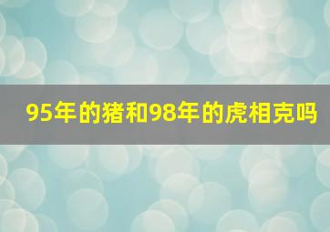 95年的猪和98年的虎相克吗