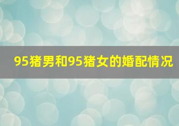 95猪男和95猪女的婚配情况