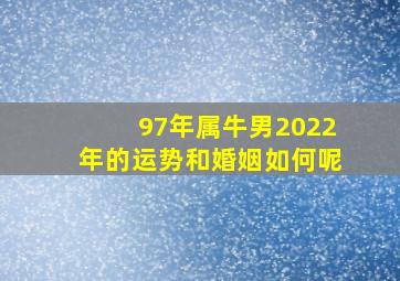 97年属牛男2022年的运势和婚姻如何呢