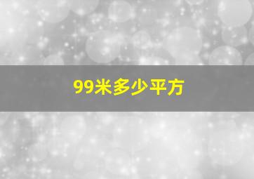 99米多少平方