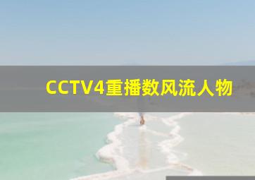 CCTV4重播数风流人物