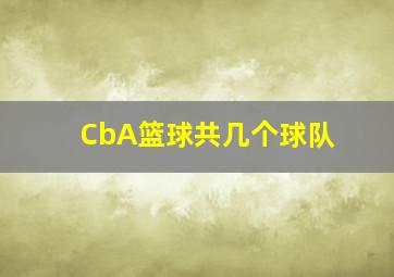 CbA篮球共几个球队