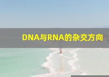 DNA与RNA的杂交方向