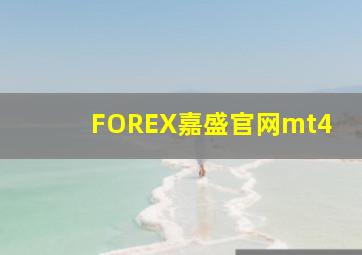 FOREX嘉盛官网mt4