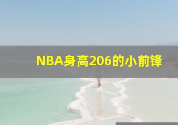 NBA身高206的小前锋