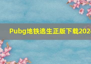 Pubg地铁逃生正版下载2024