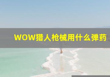 WOW猎人枪械用什么弹药