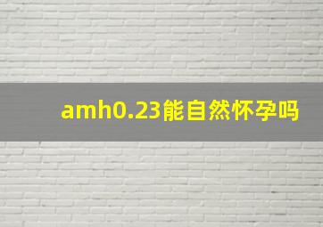 amh0.23能自然怀孕吗