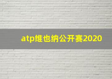 atp维也纳公开赛2020