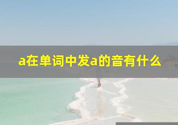 a在单词中发a的音有什么